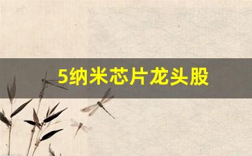 5纳米芯片龙头股(2021年5纳米芯片)_https://www.wguangz.com_上期所_第1张