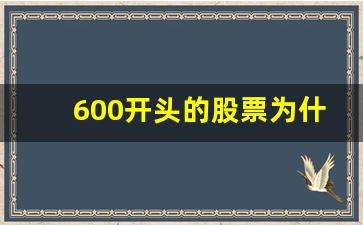 600开头的股票为什么买不了(600开头的股票怎么买不了)_https://www.syklpowerbike.com_创业板_第1张