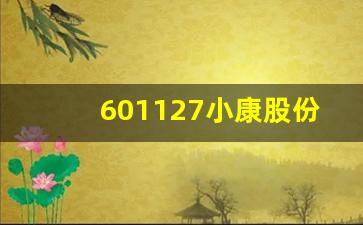 601127小康股份股票走势(601127 小康股份)_https://www.nalian8.com_深交所_第1张