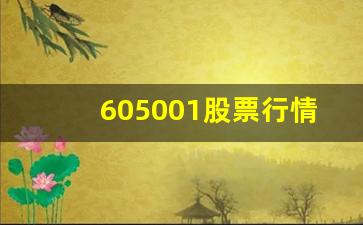 605001股票行情_https://www.hangfeite.com_科创板_第1张
