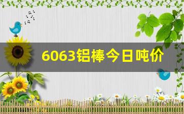 6063铝棒今日吨价格(6061铝棒今日吨价格)_https://www.wanyuyiyao.com_北交所_第1张