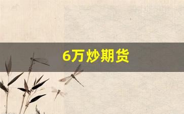 6万炒期货(6000元做期货)_https://www.xzdzcjn.com_北交所_第1张