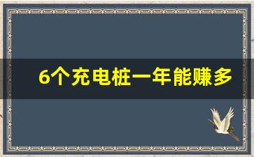 6个充电桩一年能赚多少钱(一个充电桩大概多少钱)_https://www.wanyuyiyao.com_北交所_第1张