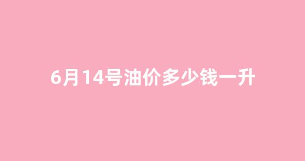 6月13日油价92汽油_6月14号油价多少钱一升