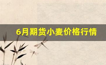6月期货小麦价格行情走势(小麦价格最新行情走势会走高吗)_https://www.haiwangdasha.com_郑商所_第1张