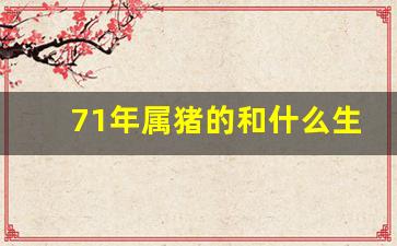 71年属猪的和什么生肖-71年猪和什么属相合
