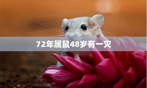 72年属鼠49岁有一灾-72年属鼠47岁有一灾怎么办