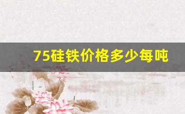 75硅铁价格多少每吨(75‰硅铁多少钱一吨)_https://www.jumanxin.com_创业板_第1张