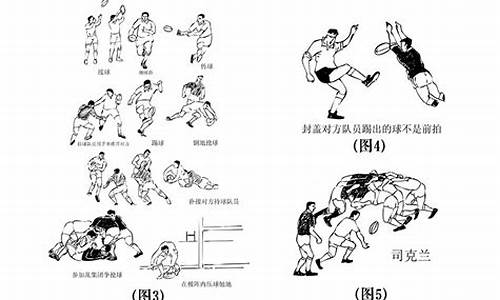 7人制橄榄球规则_七人制橄榄球多长时间