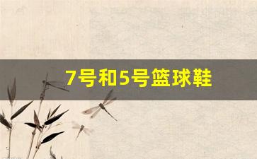 7号和5号篮球鞋-七号和5号篮球区别