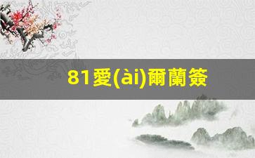 愛(ài)爾蘭1G簽證詳解，全面解讀愛(ài)爾蘭81簽證申請(qǐng)攻略