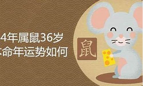 84年属鼠忌什么生肖呢-84年属鼠忌什么生肖