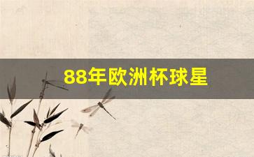 88年欧洲杯球星-1988年欧洲杯分组