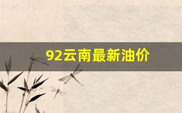 云南油价92汽油价格2月_92云南最新油价