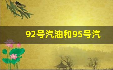 92号汽油和95号汽油可以混着用吗_92号汽油和95号汽油可