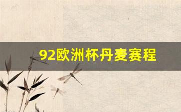 92欧洲杯丹麦赛程-92年欧洲杯丹麦神话功臣