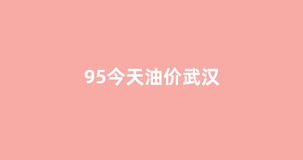 今日油价95汽油武汉_95今天油价武汉