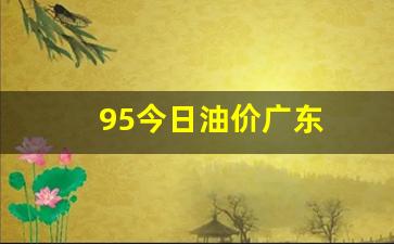 广东今日油价95汽油价格表-95今日油价广东