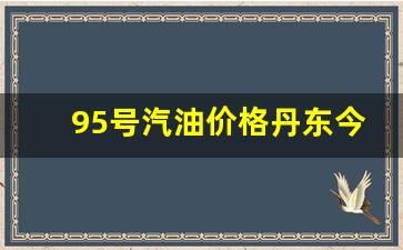 95号汽油价格丹东今日价格是多少_95号汽油价格丹东今日价格