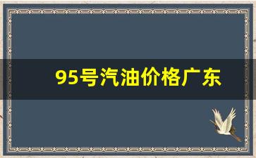 广东今日95号汽油价格-95号汽油价格广东