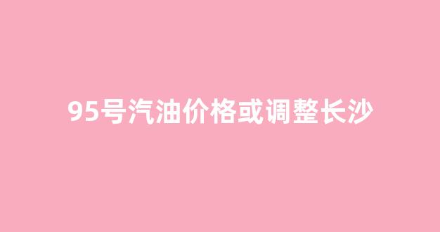 95号汽油价格或调整长沙_长沙油价95汽油