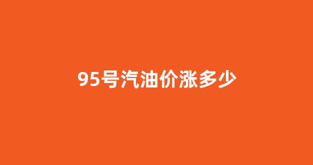 95号汽油价涨多少_95号汽油价格上涨