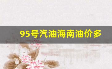 95号汽油海南油价多少钱一升-95号汽油海南油价多少