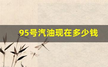 95号汽油现在多少钱1升_95号汽油现在多少钱1L