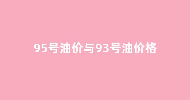 95号油价与93号油价格_95号油和93号油价格