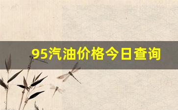 95汽油价格今日查询_95汽油价格图