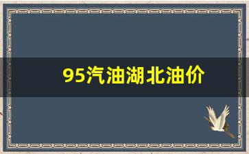 湖北今日油价95汽油多少钱一升-95汽油湖北油价