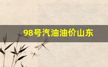 山东98号汽油多少钱一升-98号汽油油价山东