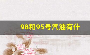 98和95号汽油有什么区别吗_98和95号汽油有什么区别吗