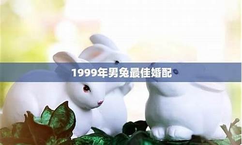 1999年9月的兔男是什么命-99年9月兔男婚姻属相运势怎么样好不好