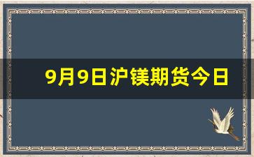 9月9日沪镁期货今日行情_https://www.erdeww.com_期货_第1张