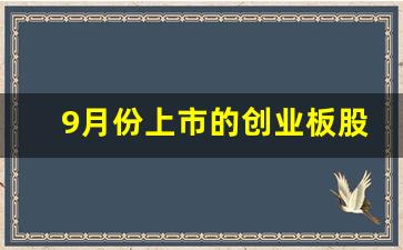 9月份上市的创业板股票有哪些呢(9月份上市的创业板股票有哪些呢一览表)_https://www.syklpowerbike.com_创业板_第1张