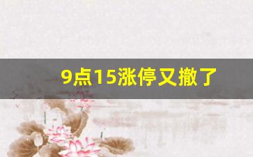 9点15涨停又撤了(九点十五涨停突然没了)_https://www.gen-fastener.com_中金所_第1张
