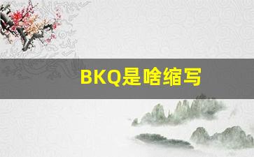 BKQ是啥缩写(bk是什么英文缩写)_https://www.wanyuyiyao.com_上交所_第1张