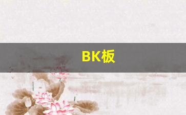 BK板(bk板材)_https://www.taocizhiliang.com_设计报价_第1张