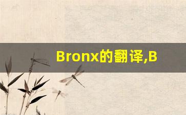 Bronx的翻译,Bronx怎么读,Bronx造句及用法-第1张图片-我的生活随想