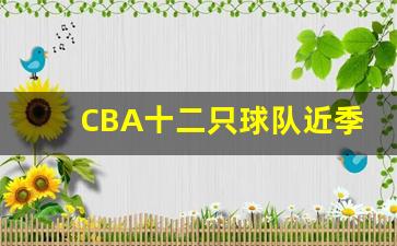 CBA十二只球队近季后赛-cba季后赛12支球队排名