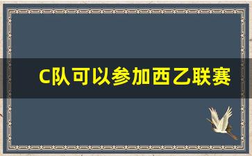 西甲联赛有c罗吗-C队可以参加西乙联赛吗