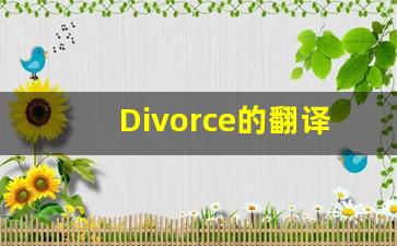 Divorce的翻译,Divorce怎么读,Divorce造句及用法-第1张图片-我的生活随想
