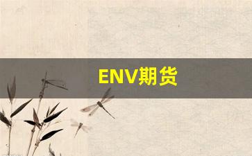 ENV期货(env期货指标)_https://www.fzdzcxj.com_北交所_第1张