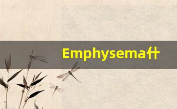Emphysema什么意思,Emphysema用法,Emphysema的发音,Emphysema翻译-第1张图片-我的生活随想