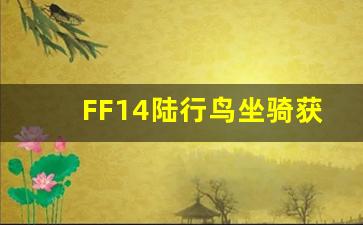 FF14陆行鸟坐骑获取方法：FF14陆行鸟坐骑介绍-第1张图片-我的生活随想