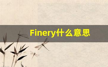 Finery什么意思,Finery用法,Finery的发音,Finery翻译-第1张图片-我的生活随想