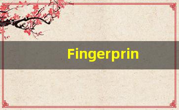 Fingerprints什么意思,Fingerprints用法,Fingerprints的发音,Fingerprints翻译-第1张图片-我的生活随想