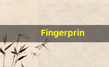 Fingerprint什么意思,Fingerprint用法,Fingerprint的发音,Fingerprint翻译-第1张图片-我的生活随想