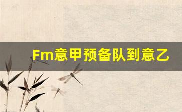 Fm意甲预备队到意乙-fm意甲和西甲小球队真穷